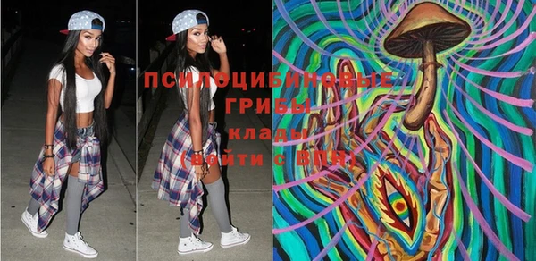 дмт Балахна