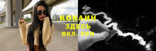 прущие крисы Надым